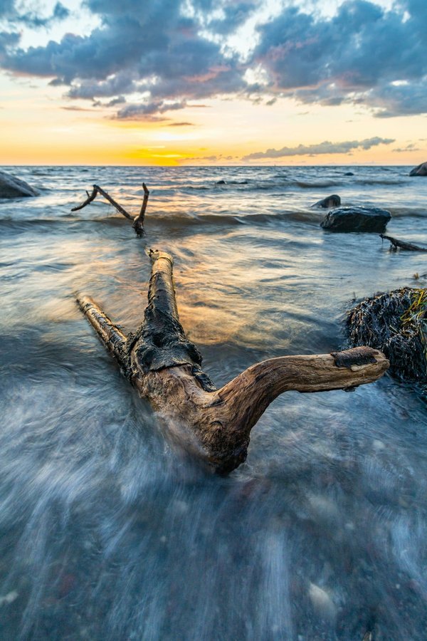 Découvrez les avantages du poêle à bois à barentin pour votre confort