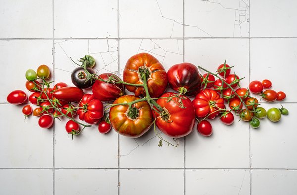 5 astuces pour maximiser votre récolte de tomates par greffage