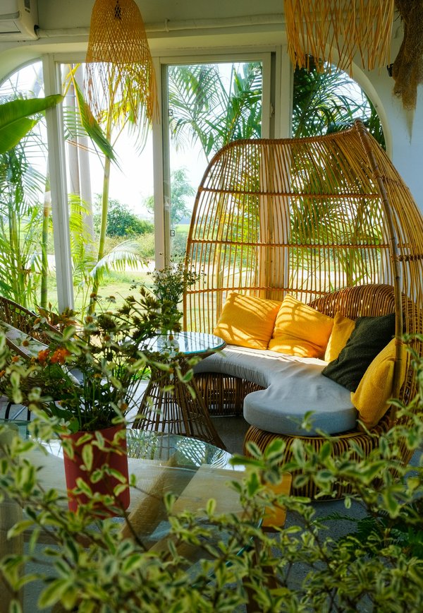 Déco en rotin : pourquoi est-ce si prisé ?