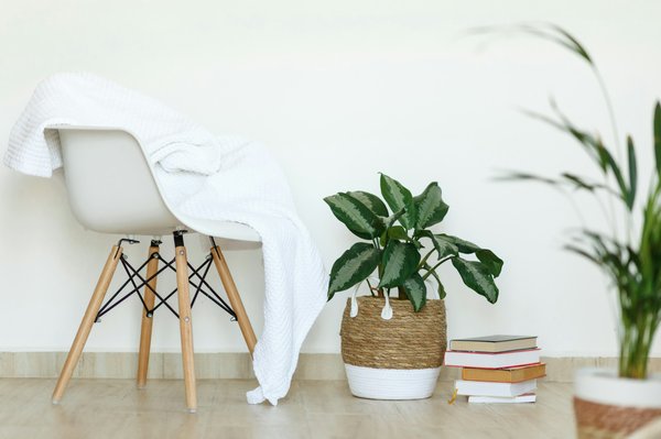 Mobilier haut de gamme : la beauté du design scandinave