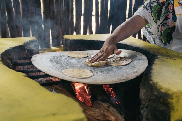 Cuisinières à bois : la chaleur qui embellit votre cuisine